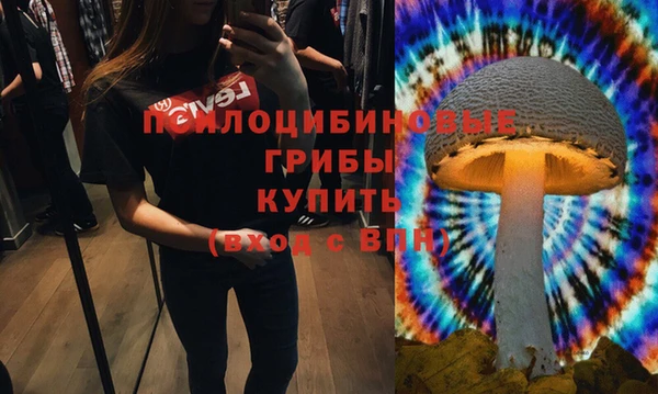 бутират Арсеньев