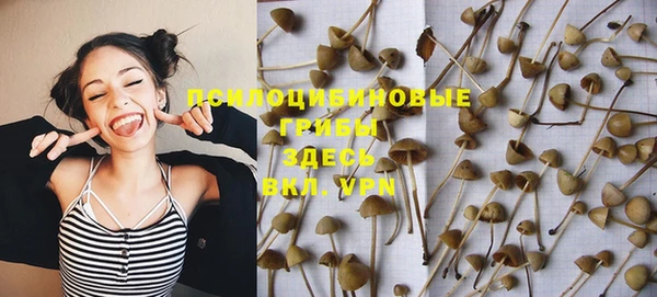 бутират Арсеньев