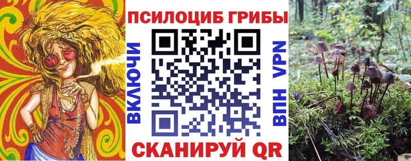 где найти наркотики  Богучар  Галлюциногенные грибы ЛСД 